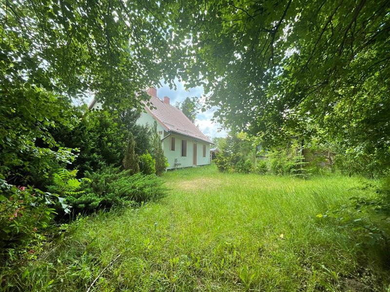 620 0 11965477 1 151 - Lista ofert