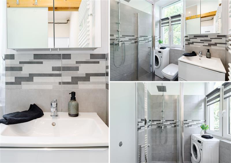 620 0 11972335 0 18 - Lista ofert