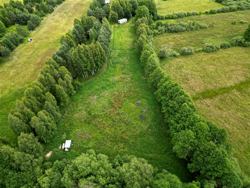 620 0 11979474 0 7 - Lista ofert