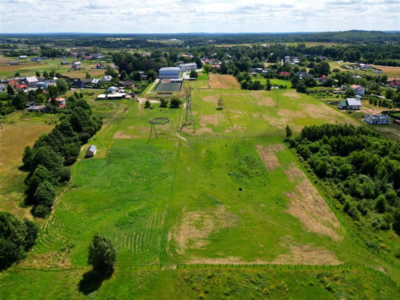 620 0 12006881 5 41 - Lista ofert