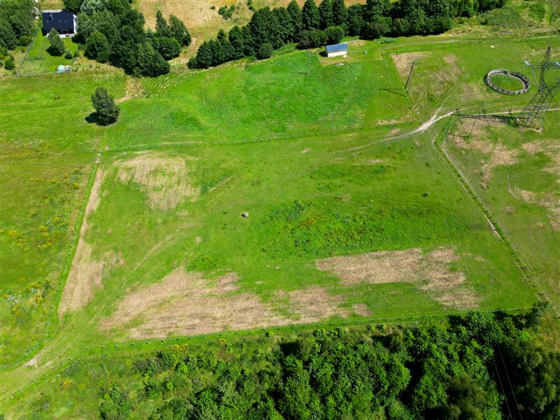 620 0 12006884 6 41 - Lista ofert