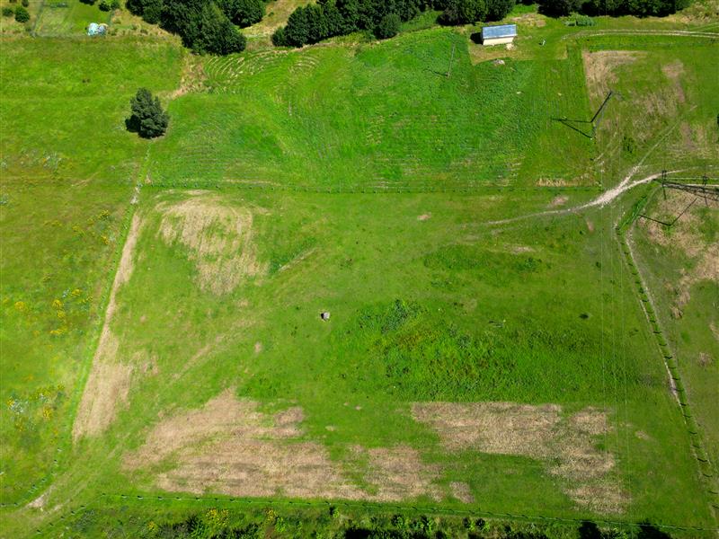 620 0 12006885 5 41 - Lista ofert