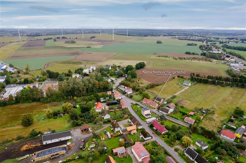 620 0 12079331 0 28 - Lista ofert