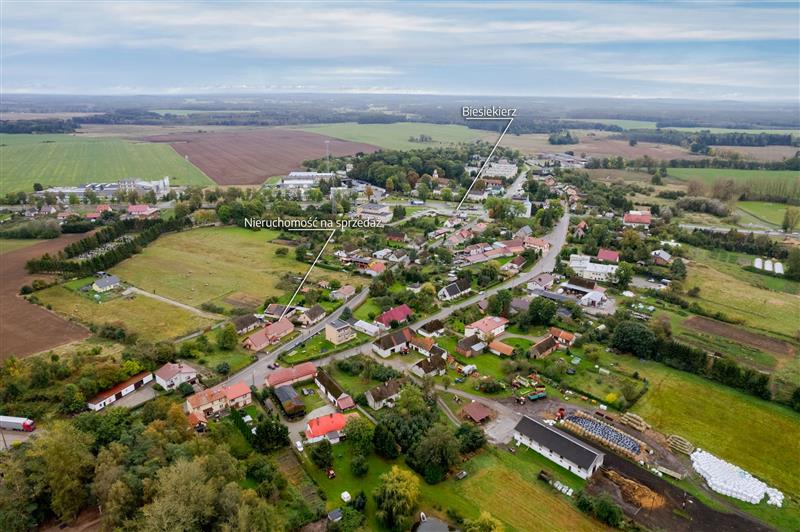 620 0 12079332 0 28 - Lista ofert