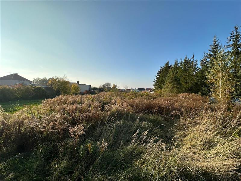 620 0 12098799 2 9 - Lista ofert