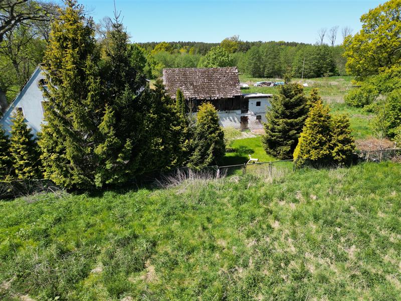 620 0 12245664 0 10 - Lista ofert