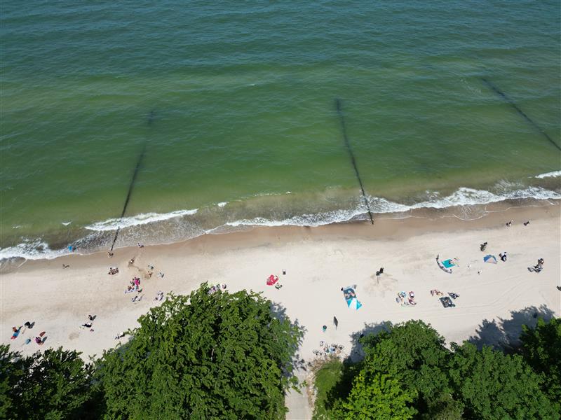 620 0 12261625 6 49 - Lista ofert