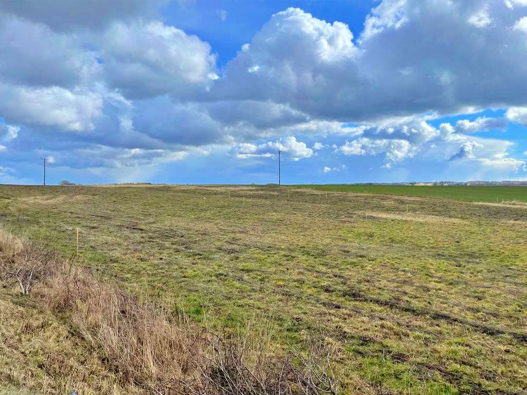 660 0 11645086 2 45 - Lista ofert