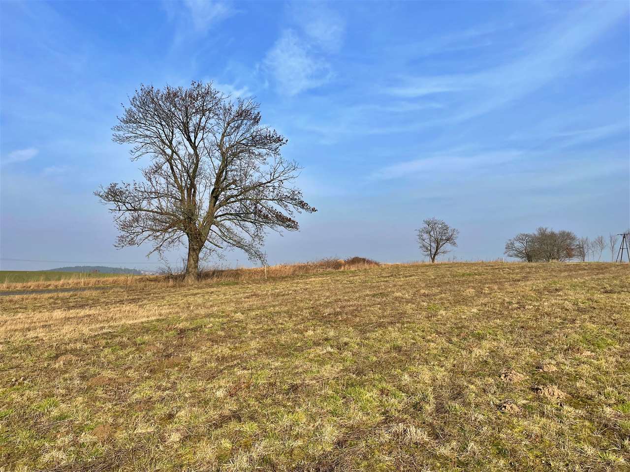 660 0 11645087 7 45 - Lista ofert