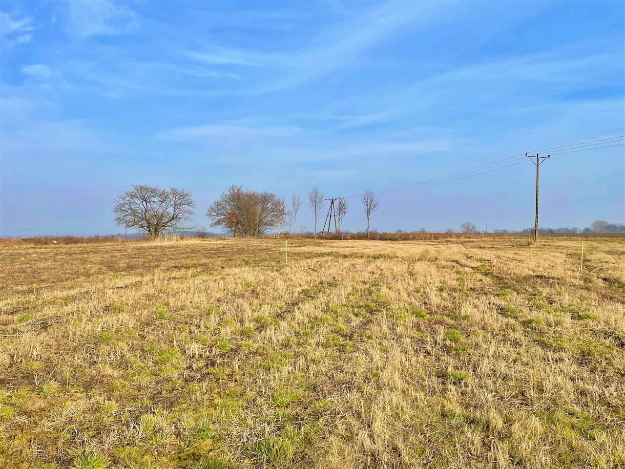 660 0 11645089 8 45 - Lista ofert