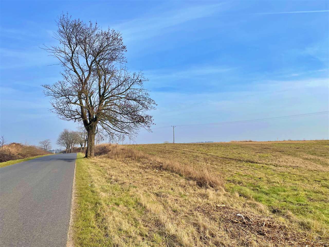 660 0 11645090 8 45 - Lista ofert