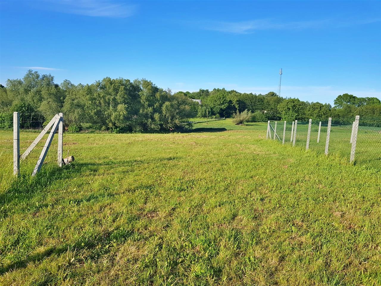 660 0 12238138 12 472 - Lista ofert