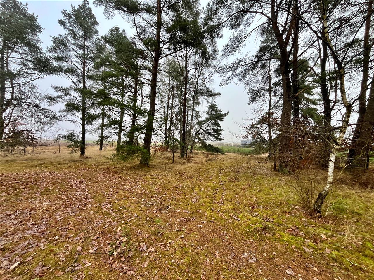 660 0 12357027 7 29 - Lista ofert