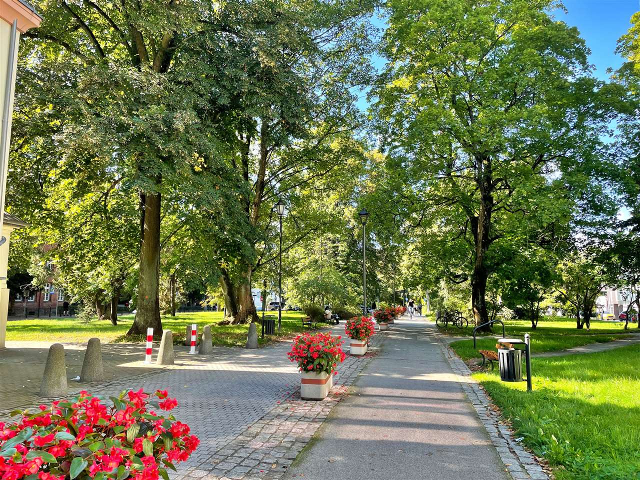 660 0 12360223 7 285 - Strona główna