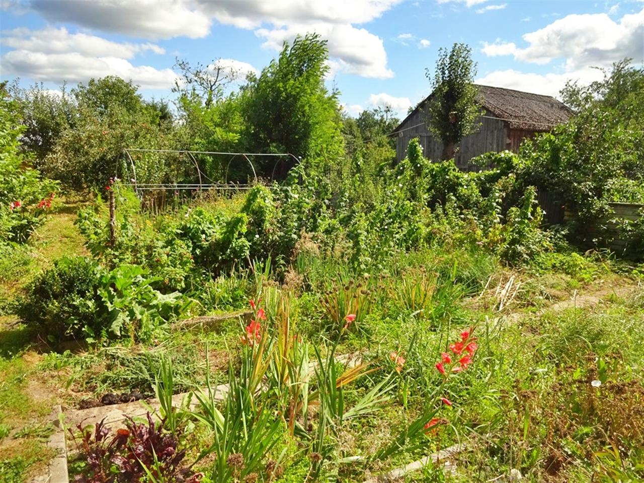 660 0 12363822 3 17 - Strona główna