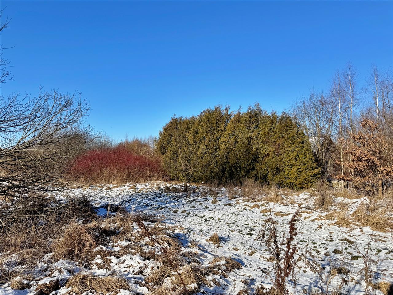 660 0 12388533 7 45 - Lista ofert