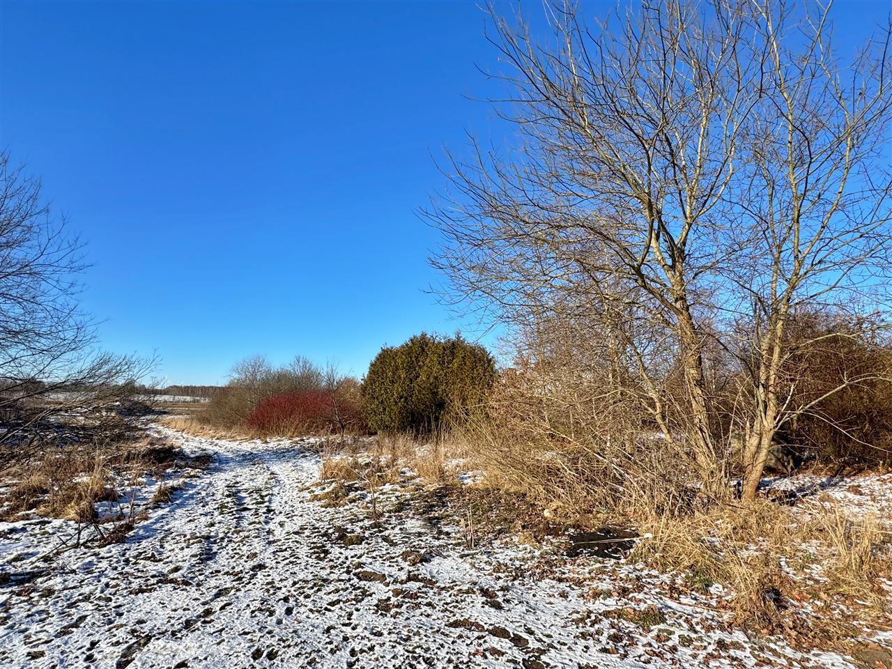 660 0 12388535 8 45 - Lista ofert