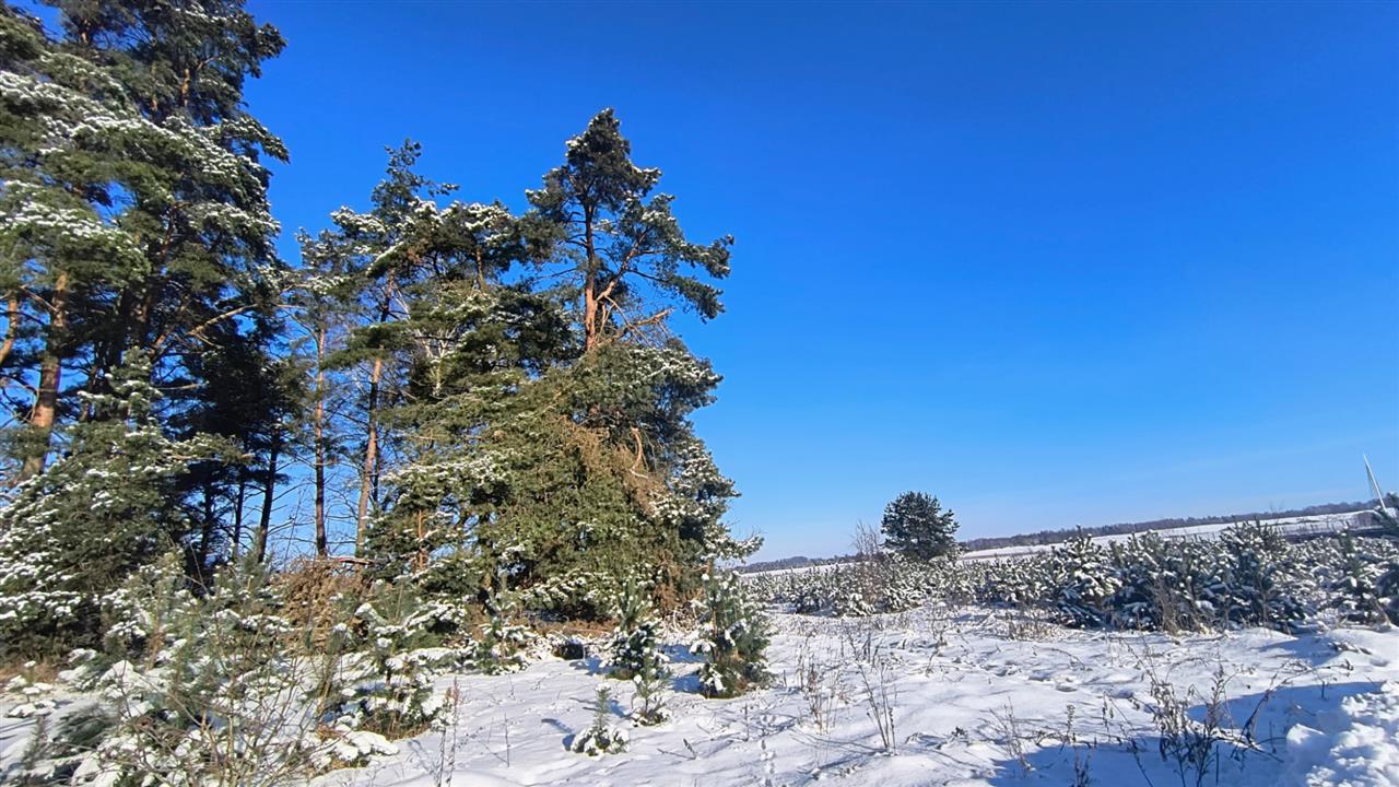 660 0 12391370 4 29 - Lista ofert