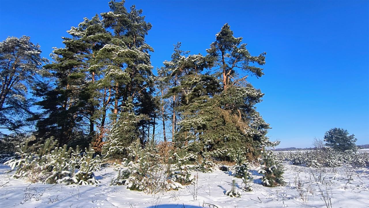 660 0 12391371 3 29 - Lista ofert