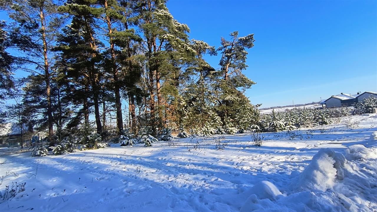 660 0 12391373 3 29 - Lista ofert