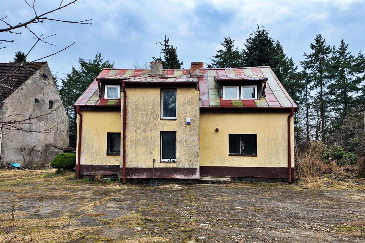 660 0 12410565 1 192 - Lista ofert