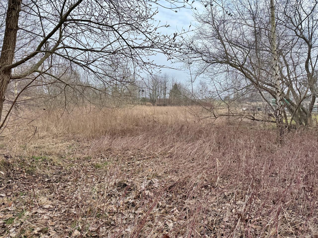 660 0 12414972 7 28 - Lista ofert