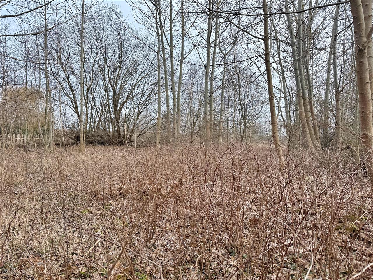 660 0 12414975 6 28 - Lista ofert