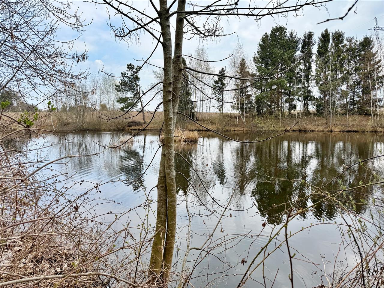 660 0 12436979 0 15 - Lista ofert