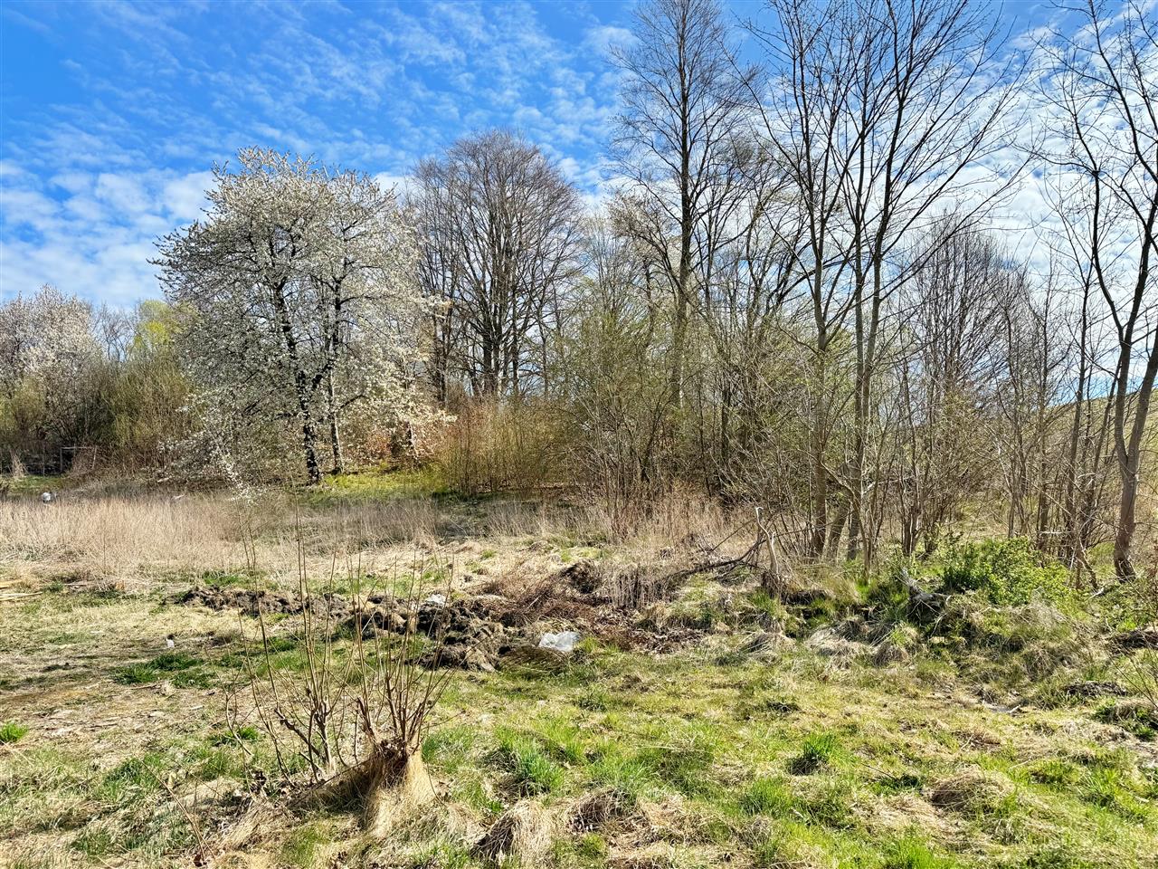 660 0 12469364 3 29 - Strona gł&oacute;wna