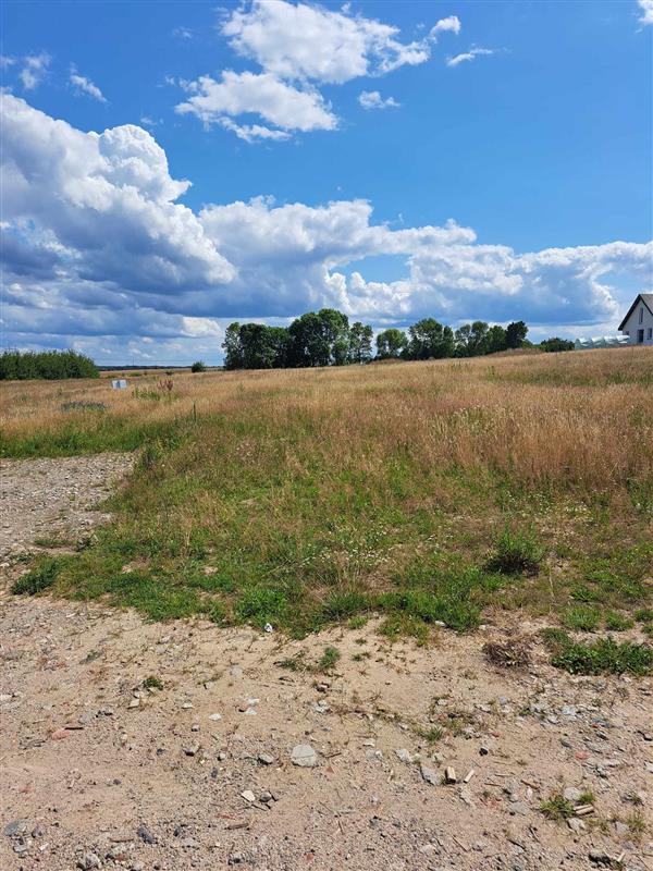 700 0 11743556 11 67 - Lista ofert