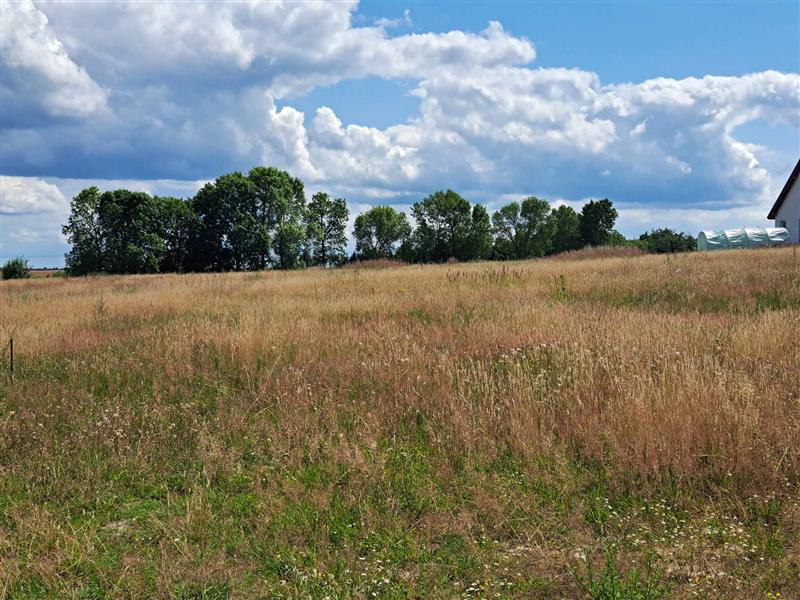 700 0 11743558 10 67 - Lista ofert