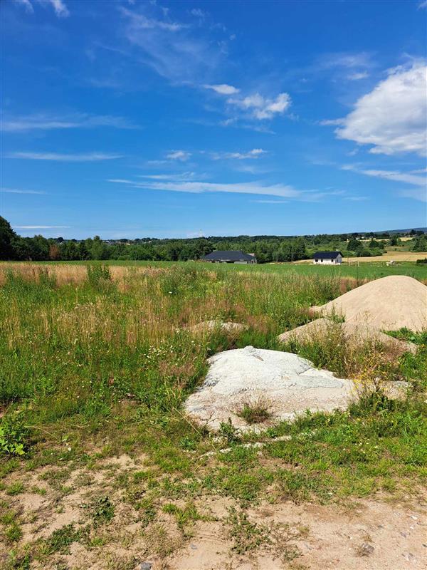 700 0 11743559 10 67 - Lista ofert