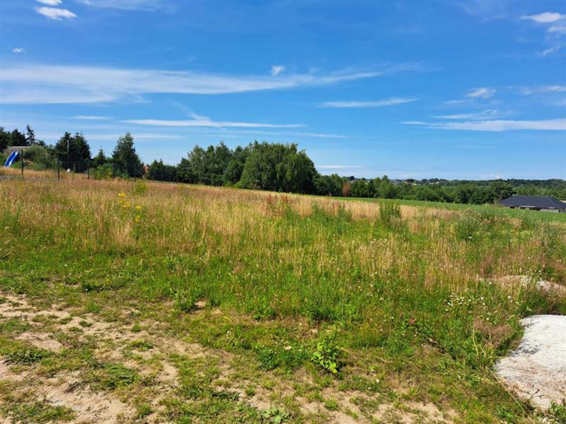 700 0 11743560 10 67 - Lista ofert