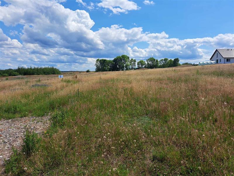 700 0 11743562 10 67 - Lista ofert