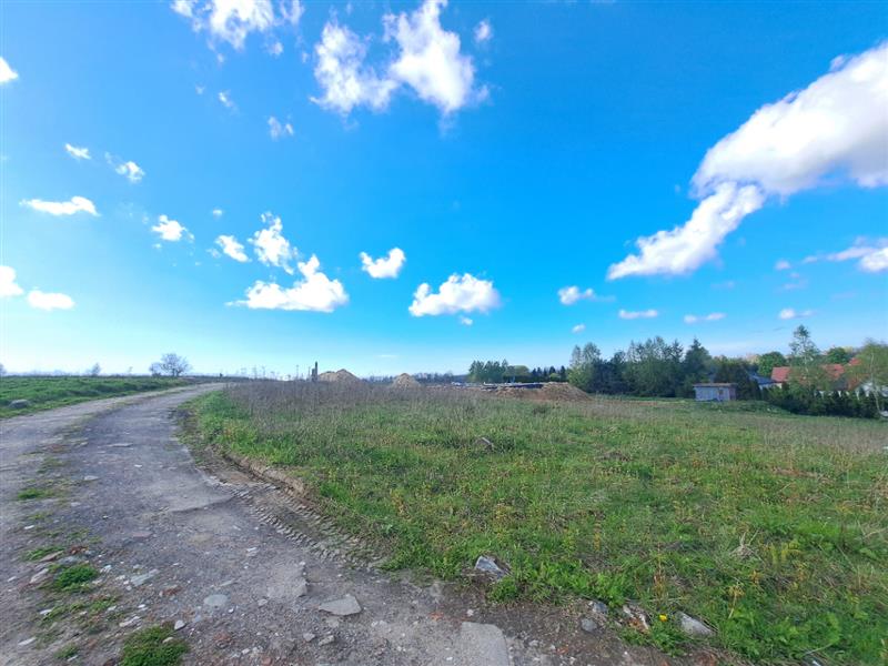 700 0 11937046 4 91 - Lista ofert