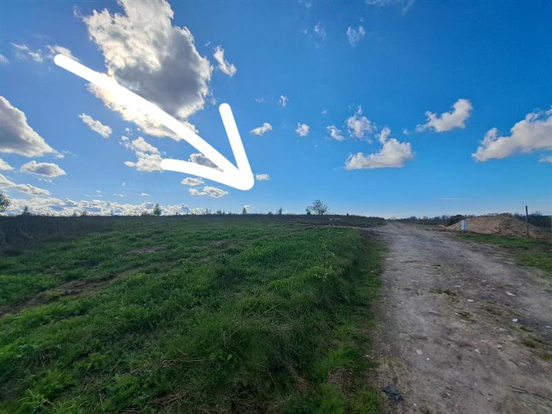 700 0 11937049 7 91 - Lista ofert