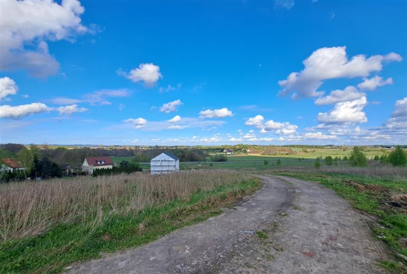 700 0 11937050 5 91 - Lista ofert