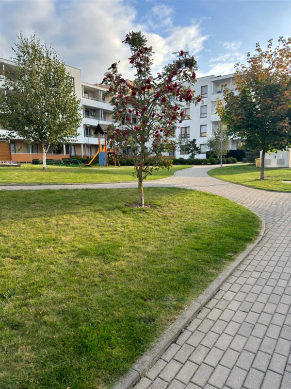 700 0 12153236 12 48 - Lista ofert