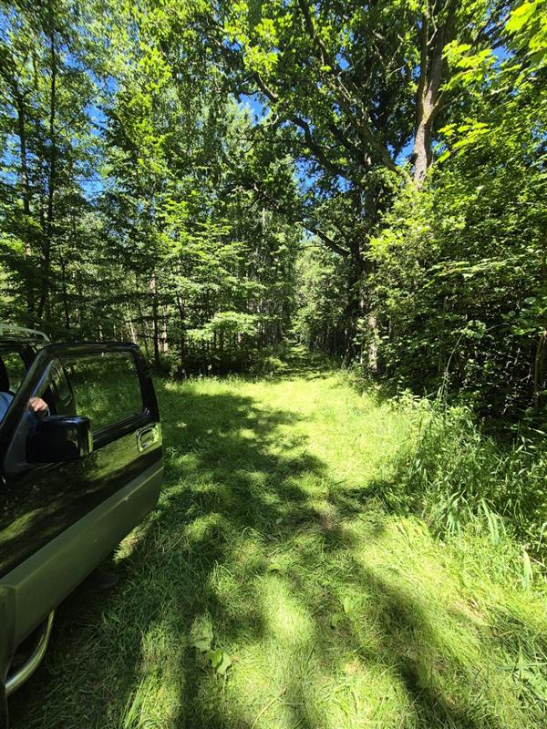 700 0 12329120 0 96 - Lista ofert