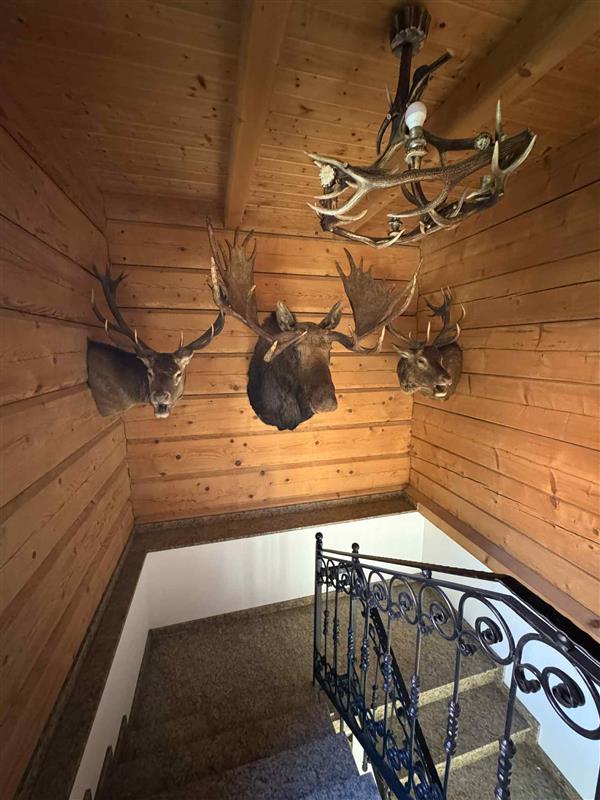 700 0 12329146 0 96 - Lista ofert