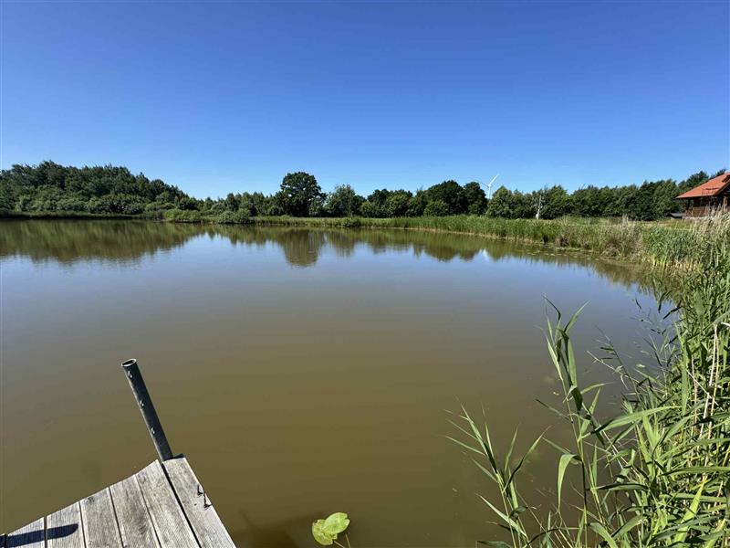 700 0 12329149 0 96 - Lista ofert