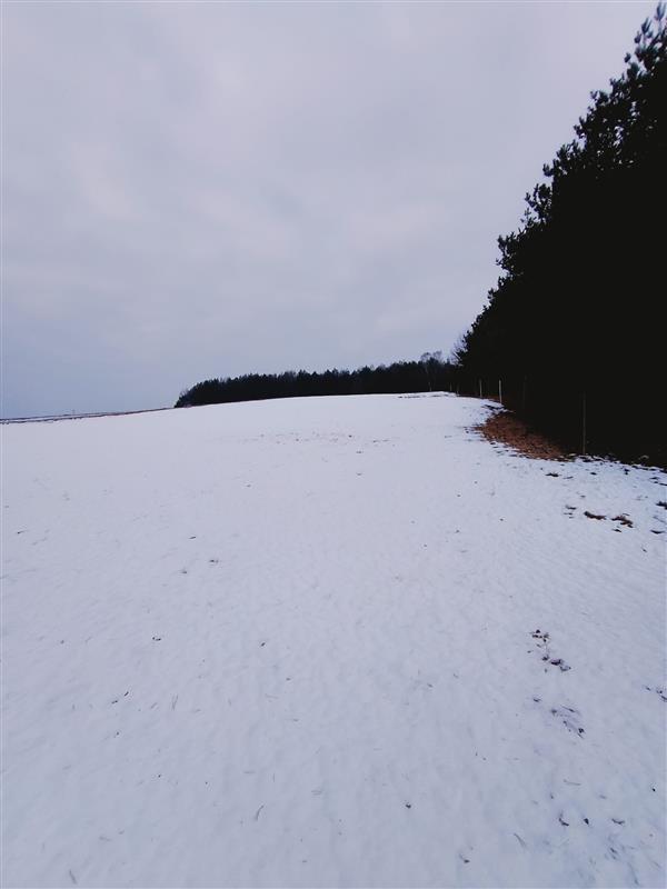 700 0 12384207 3 15 - Lista ofert