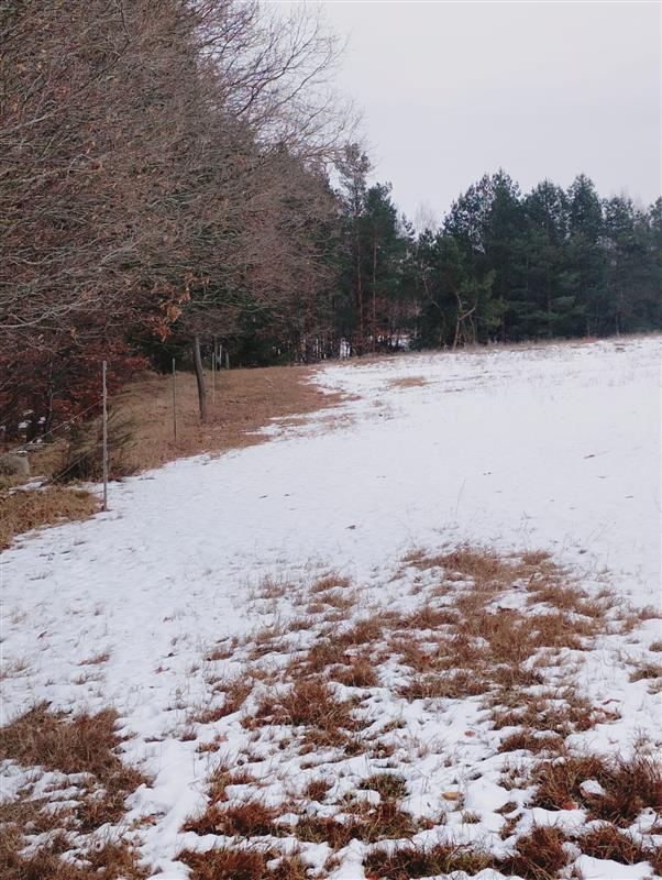 700 0 12384208 3 15 - Lista ofert