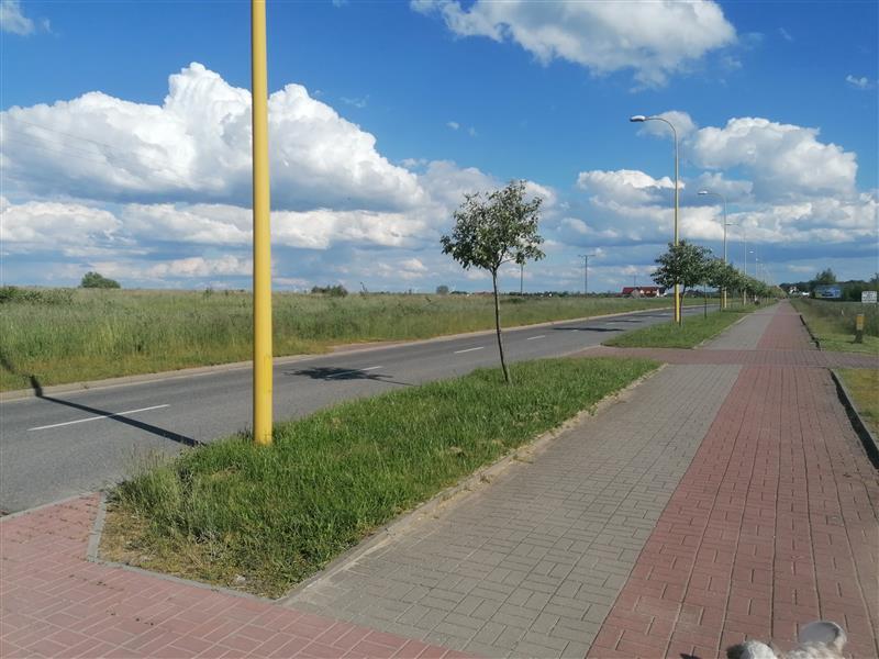 700 0 12387976 1 13 - Lista ofert