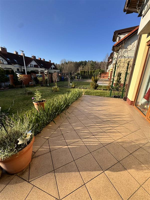 700 0 12393945 3 164 - Lista ofert