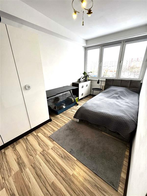 700 0 12398223 2 25 - Strona gł&oacute;wna